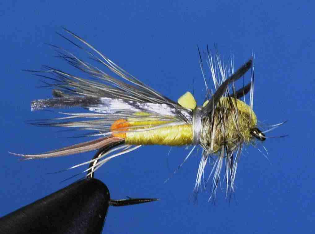 JD Flies [Online Catalog]